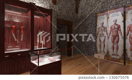 Human Body Museum Human Body Museum 130875076