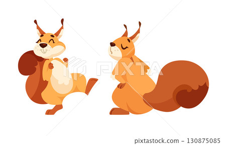 Charming Cute Cartoon Squirrel Character Animation Design for Everyone to Enjoy and Love 130875085