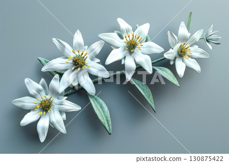 Close up of a white flower with a green stem Close up of a white flower with a green stem 130875422