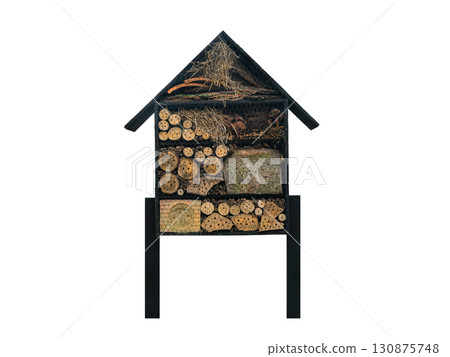 insect house isolated on white background 130875748