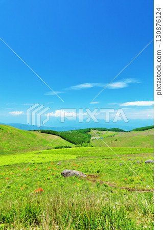 Nagano Prefecture, Kirigamine under the blue sky, view from Fujimidai Observatory 130876124
