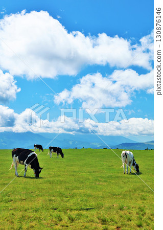 Nagano Prefecture, Utsukushigahara Plateau, blue sky farm scenery 130876146