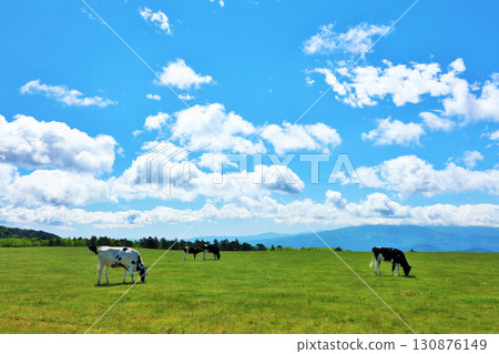 長野縣美原高原藍天農場風景 130876149