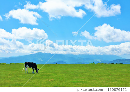 Nagano Prefecture, Utsukushigahara Plateau, blue sky farm scenery 130876151
