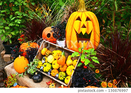 Enjoy halloween 130876997