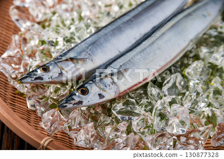 秋季美味:活秋刀魚 秋季美味:活秋刀魚 130877328