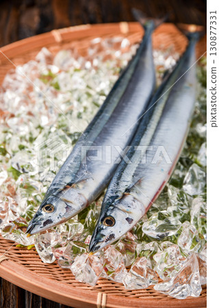秋季美味:活秋刀魚 秋季美味:活秋刀魚 130877331