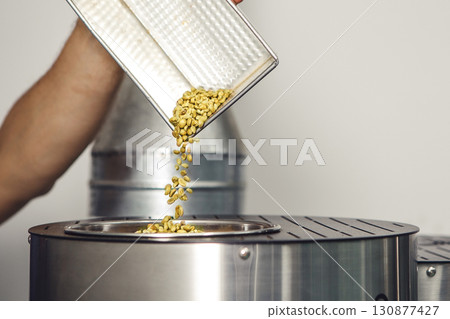 Roaster Worker Backfilling Green Coffee Beans for Specialty Roasting Roaster Worker Backfilling Green Coffee Beans for Specialty Roasting 130877427