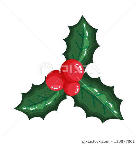 Isolated Christmas Holly Branch with Red Berries Illustration Isolated Christmas Holly Branch with Red Berries Illustration 130877801