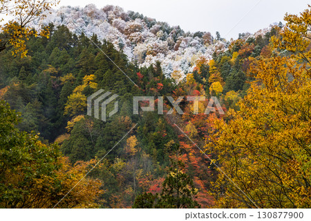 [Teruha Gorge] A feast of autumn leaves and snow-capped mountains 130877900
