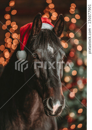Cute horse in Santa Claus hat on the background of Christmas tree and golden bokeh lights. Vertical New Year background. 130877901