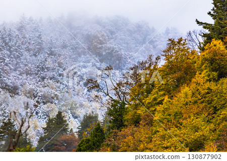 [Teruha Gorge] A feast of autumn leaves and snow-capped mountains 130877902