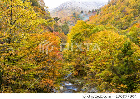 【照羽峽】紅葉與雪山的盛宴 【照羽峽】紅葉與雪山的盛宴 130877904