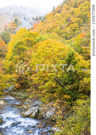 【照羽峽】紅葉與雪山的盛宴 130877906