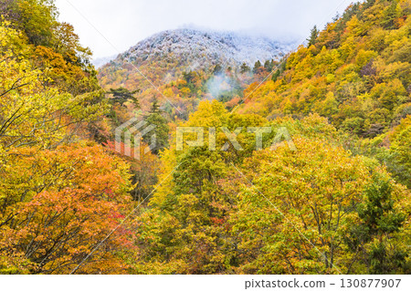 【照羽峽】紅葉與雪山的盛宴 【照羽峽】紅葉與雪山的盛宴 130877907