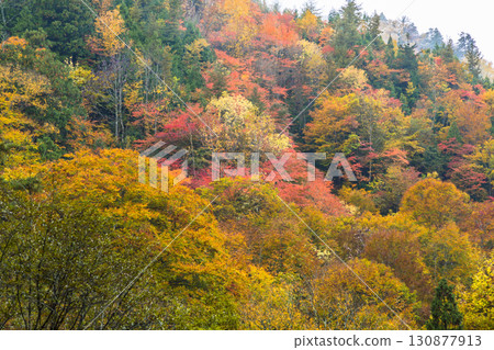 Teruha Gorge is colored by the beautiful autumn colors 130877913