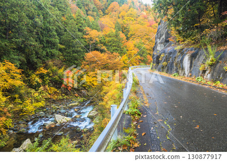 奧利根雪村街道，秋葉的色彩 130877917
