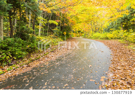 Okutone Yukemuri Kaido, colored by autumn leaves 130877919