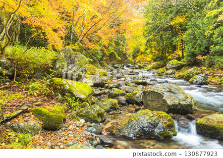 Teruha Gorge dyed in autumn colors Teruha Gorge dyed in autumn colors 130877923