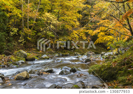 照羽溪谷染上秋色 照羽溪谷染上秋色 130877933