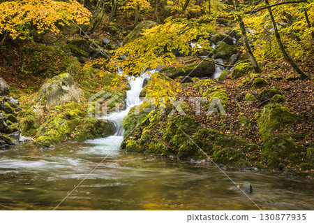 Teruha Gorge dyed in autumn colors Teruha Gorge dyed in autumn colors 130877935