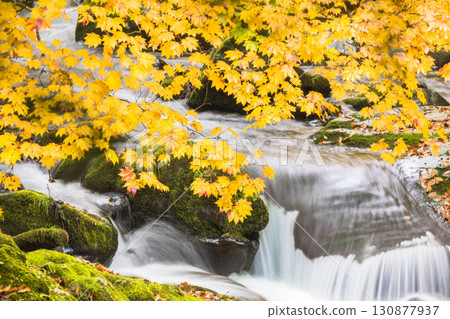 照羽溪谷染上秋色 130877937