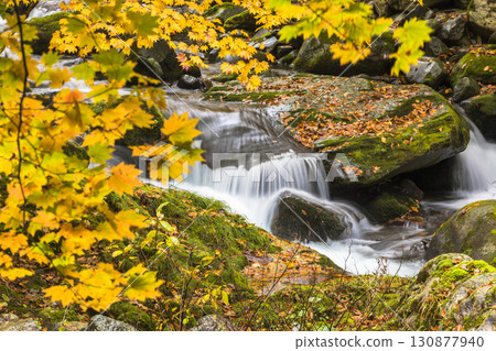 Teruha Gorge dyed in autumn colors Teruha Gorge dyed in autumn colors 130877940