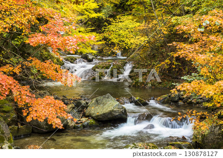 照羽溪谷染上秋色 照羽溪谷染上秋色 130878127