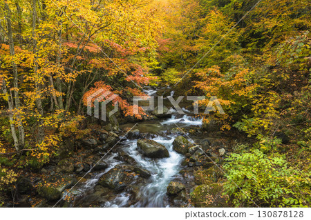 Teruha Gorge dyed in autumn colors Teruha Gorge dyed in autumn colors 130878128