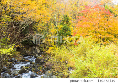 照羽溪谷染上秋色 照羽溪谷染上秋色 130878139