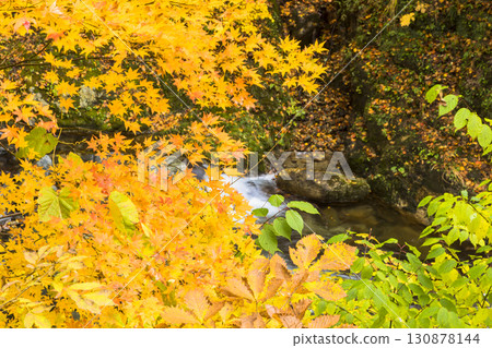 照羽溪谷染上秋色 照羽溪谷染上秋色 130878144