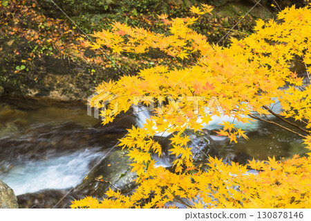 照羽溪谷染上秋色 照羽溪谷染上秋色 130878146