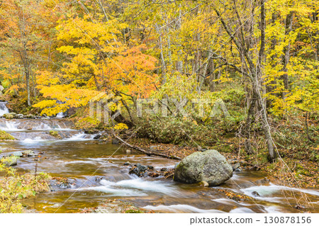 照羽峽被美麗的秋色所籠罩 照羽峽被美麗的秋色所籠罩 130878156