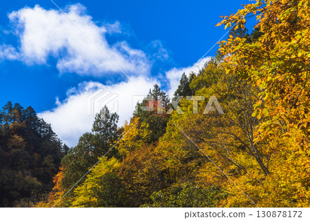 照羽峽被美麗的秋色所籠罩 130878172