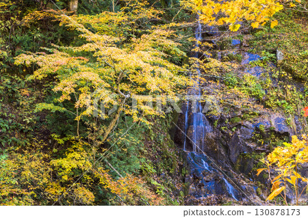 照羽溪谷染上秋色 照羽溪谷染上秋色 130878173