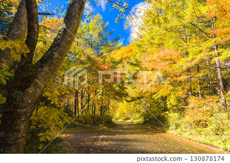 奧利根雪村街道，秋葉的色彩 130878174