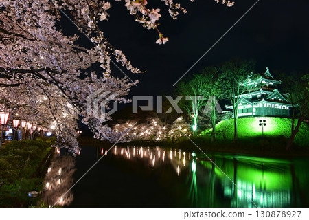 新潟縣日本三大夜櫻，高田城的夜櫻 130878927