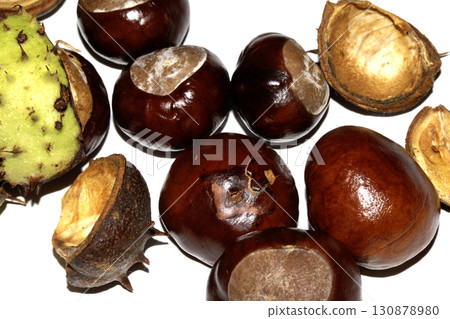 Close up of horse chestnut seed conkers on white background 130878980