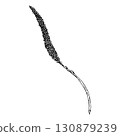 Black and white vector illustration of plantain flower spike with elongated stem and tiny clustered blooms. Hand drawn botanical drawing of medicinal wild plant used in herbal remedies 130879239
