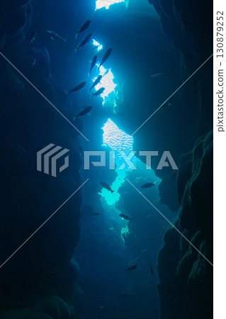 石垣海 130879252