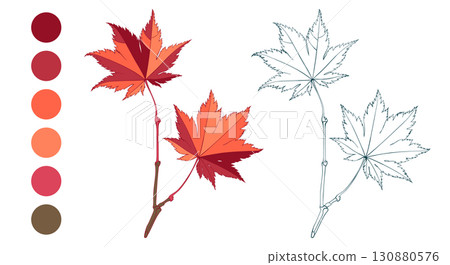Set of hand-drawn red colored maple autumn leaves brunch and fall color palette isolated on white background. Flat and line styles vector illustrations. Set of hand-drawn red colored maple autumn leaves brunch and fall color palette isolated on white background. Flat and line styles vector illustrations. 130880576