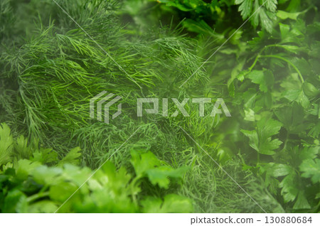 Fresh, juicy greens, dill, parsley on the store counter Fresh, juicy greens, dill, parsley on the store counter 130880684