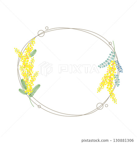 Mimosa flower vector material illustration Mimosa flower vector material illustration 130881306