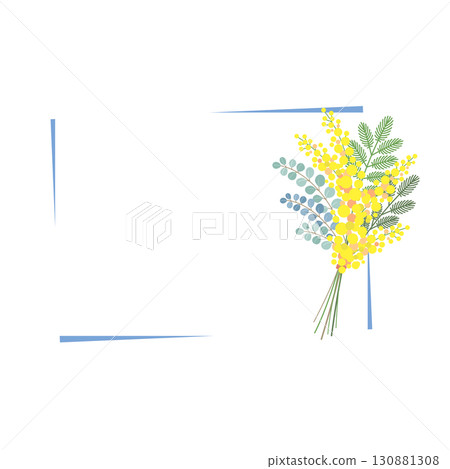 Mimosa flower vector material illustration Mimosa flower vector material illustration 130881308
