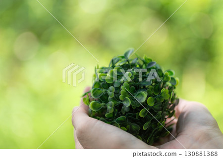 Person holding plants in the forest 130881388