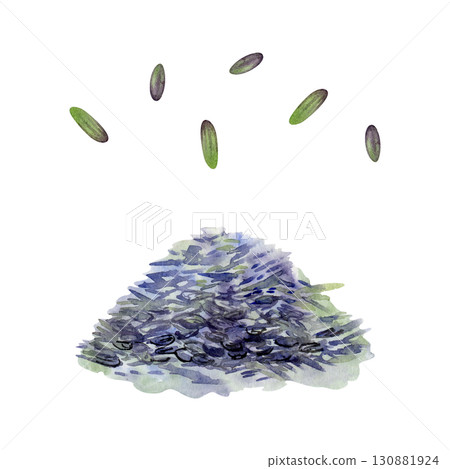 Lavender lavandula purple seeds heap hand drawn in watercolor. French Provence, cosmetics spa aromatherapy. Single object isolated illustration. Herbal candles, essential oil, sachet and potpourri 130881924