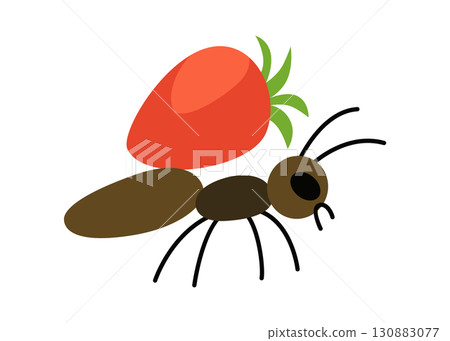 Vector image of a cute, colorful ant with strawberry. Features of an ant's anatomy. Perfect for educational materials, insect-related designs, and nature-themed projects 130883077