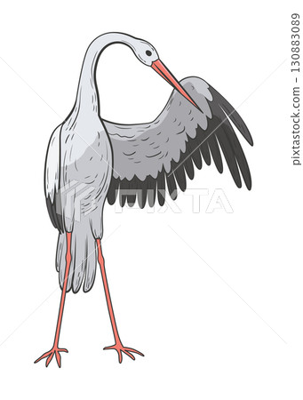 Crane bird in realistic style, high quality detail. Vector illustration Crane bird in realistic style, high quality detail. Vector illustration 130883089