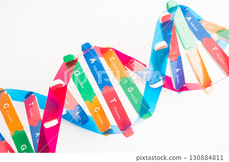 DNA or Deoxyribonucleic acid is a double helix chains structure formed by base pairs attached to a sugar phosphate backbone. DNA or Deoxyribonucleic acid is a double helix chains structure formed by base pairs attached to a sugar phosphate backbone. 130884811