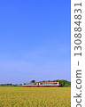 Kashima Rinkai Railway 6000 series diesel railcar running through the countryside in the harvest season of autumn 130884831